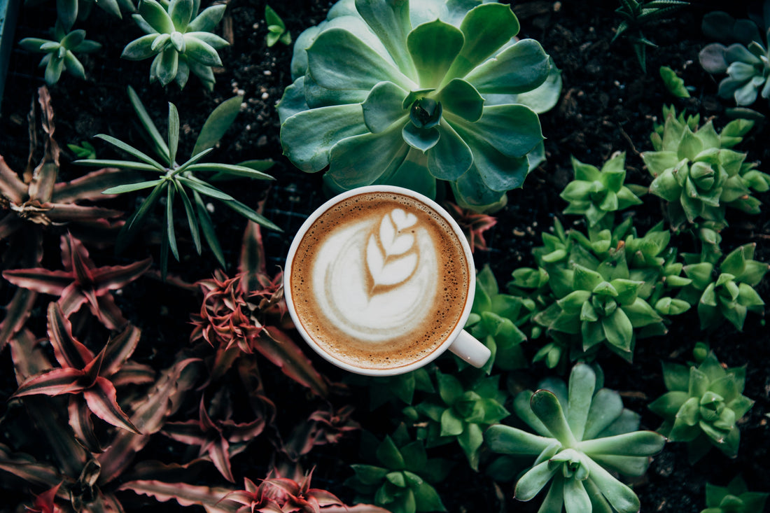 ☕ Come riconoscere un buon caffè